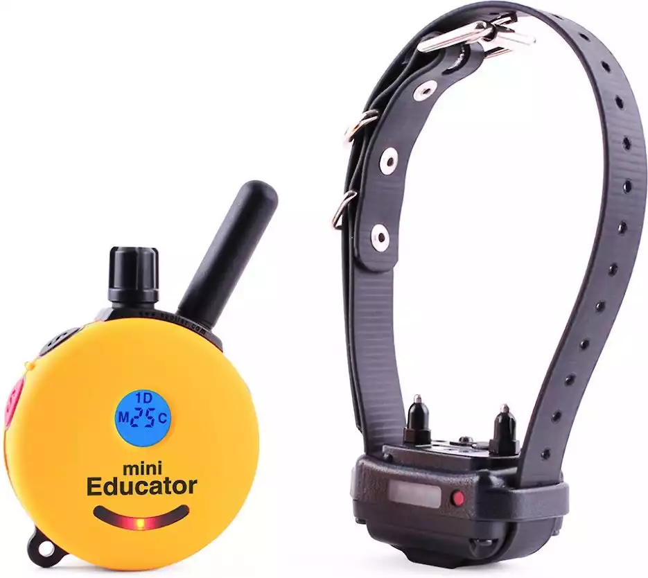 Educator E-Collar Technologies Mini 1/2 Mile Range Remote Waterproof Dog Training Collar