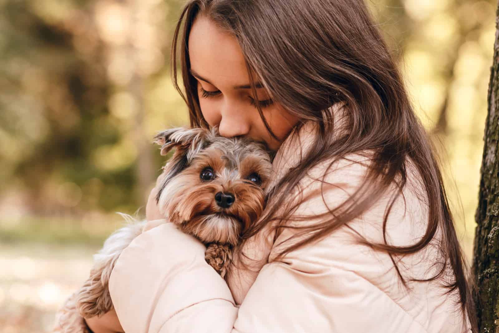 The 8 Safest And Best Shampoo For Pomeranian Dogs Options