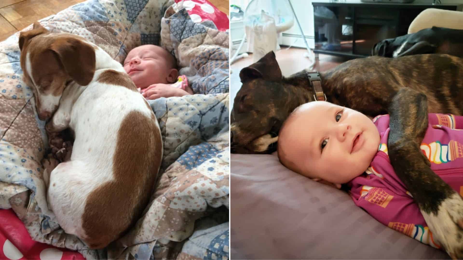 15 Adorable Pictures That Show Why Kids Need Dogs In Their Lives