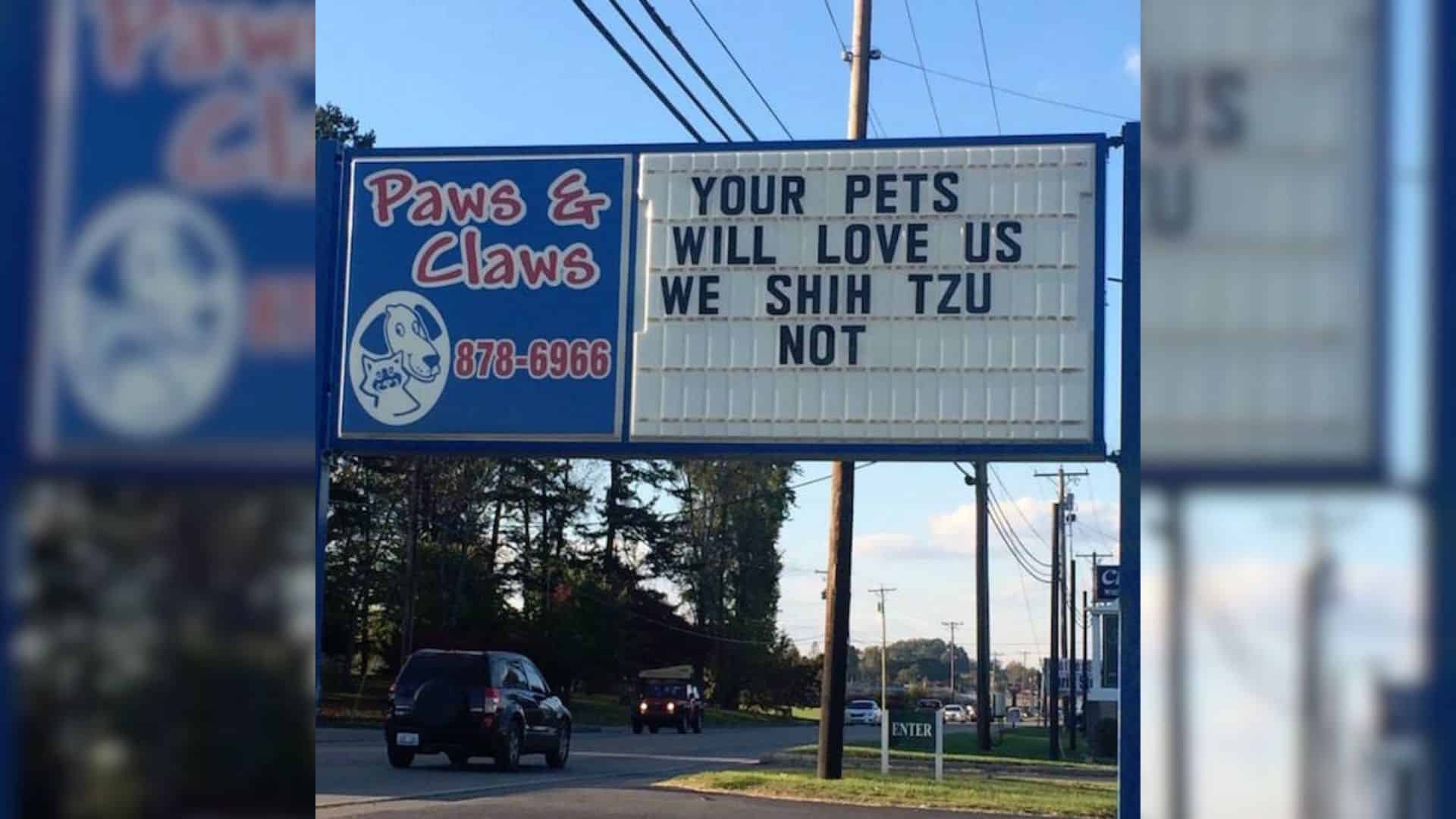 15 Hilarious Signs That Prove The Vet’s Place Isn’t The Worst Place