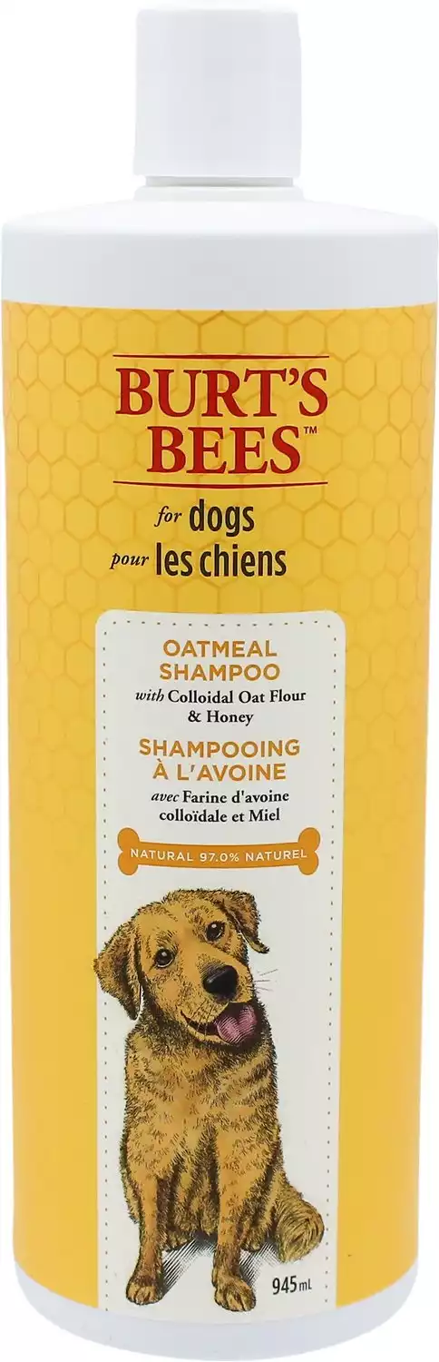 Burt's Bees Oatmeal Shampoo