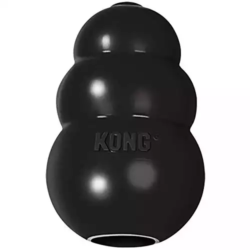 KONG - Extreme Dog Toy