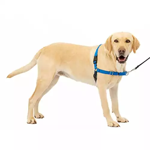 PetSafe Easy Walk Dog Harness