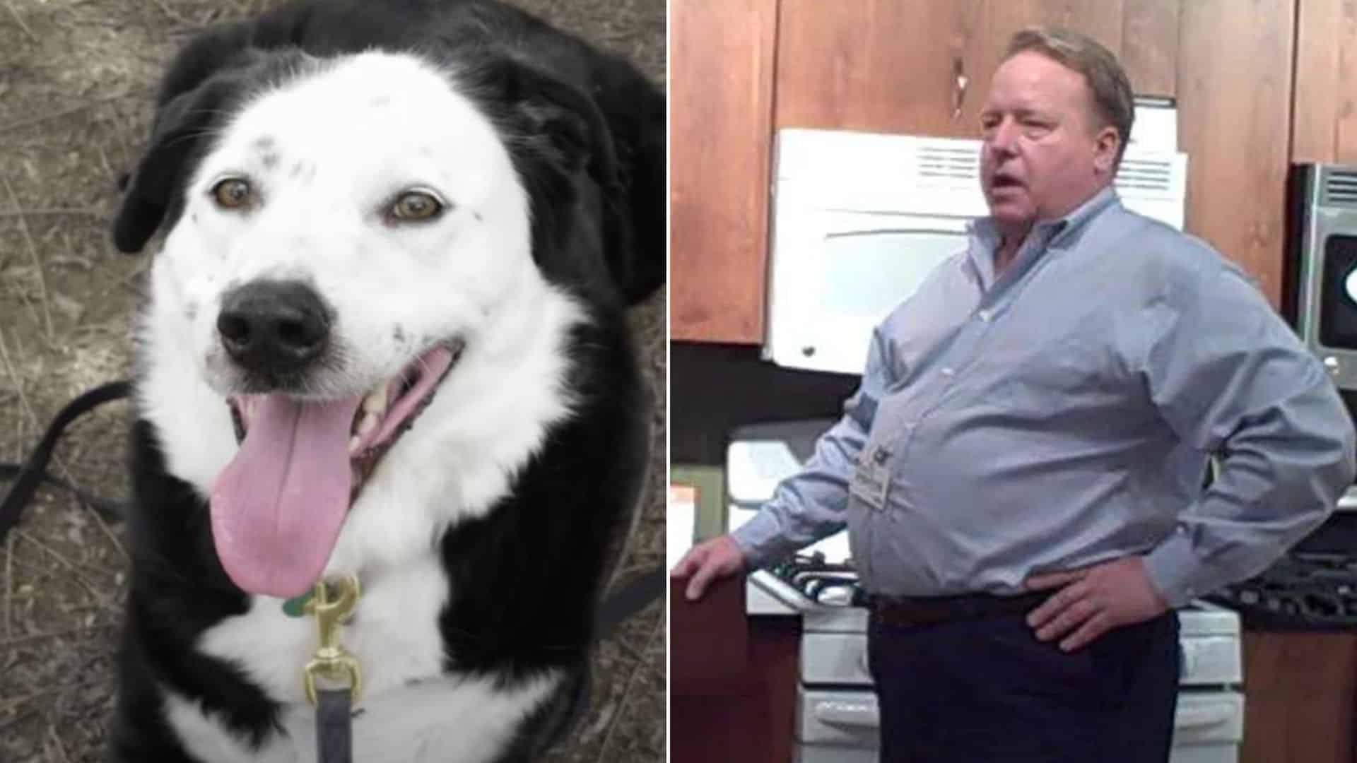 340-Pound Man Given 5 Years To Live Transforms With The Help Of A Shelter Dog