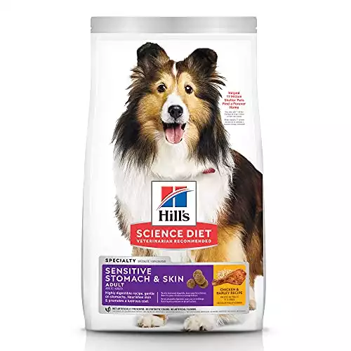 Hill's Science Diet Dry Dog Food