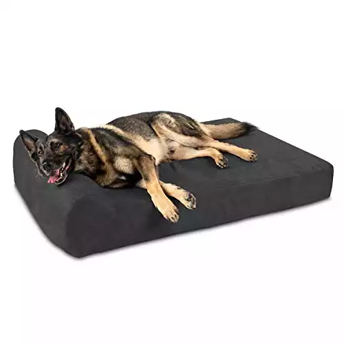 Big Barker 7" Pillow Top Orthopedic Dog Bed