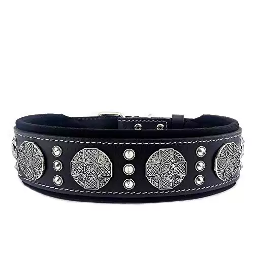 Bestia Maximus Genuine Leather Dog Collar