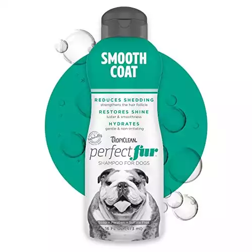 TropiClean PerfectFur Smooth Coat Shampoo For Dogs