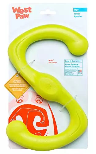 West Paw Zogoflex Bumi Dog Toy