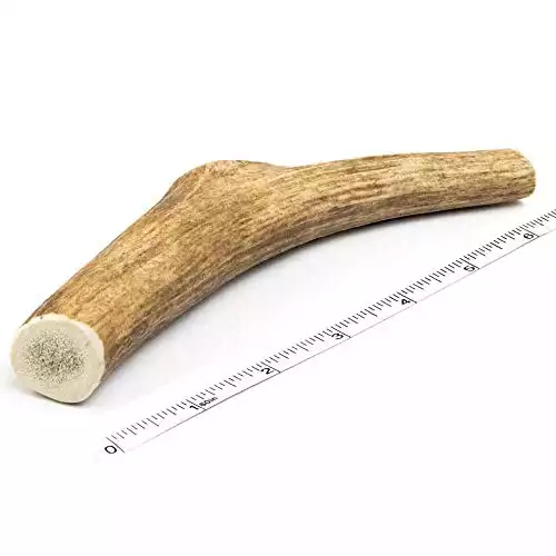 Devil Dog Pet Co Antler Dog Chew