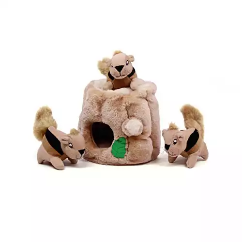 Outward Hound Hide-A-Squirrel Squeaky Puzzle Toy