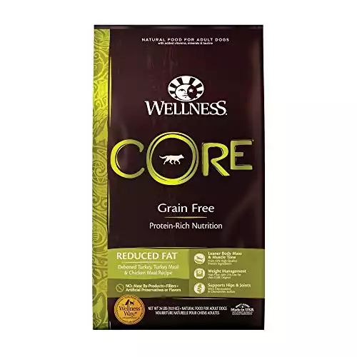 Wellness Core Dry Dog Food