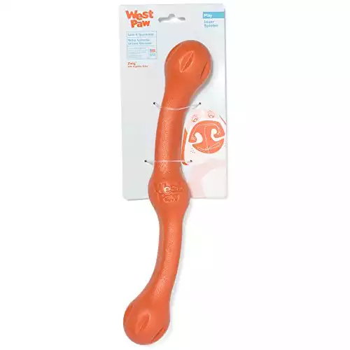 West Paw Zogoflex Echo Zwig Fetching Stick