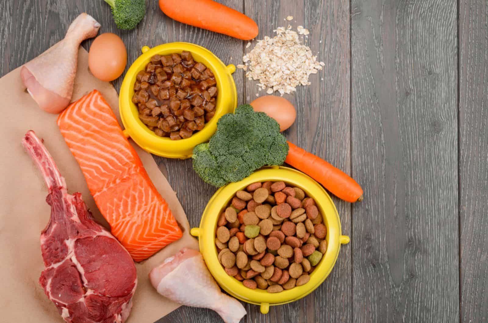 8 Healthy Foods That May Help Prevent Canine Cancer