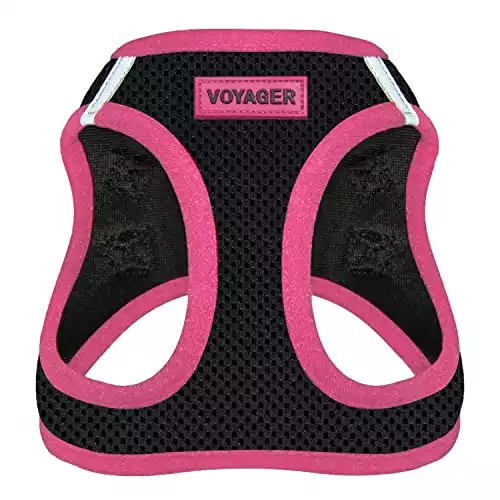 Voyager Step-In Air Dog Harness