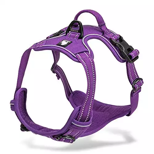 Chai’s Choice Premium Outdoor Adventure Dog Harness