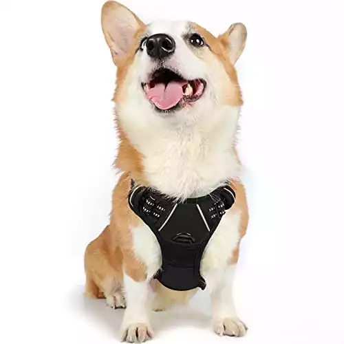 Rabbitgoo Dog Harness