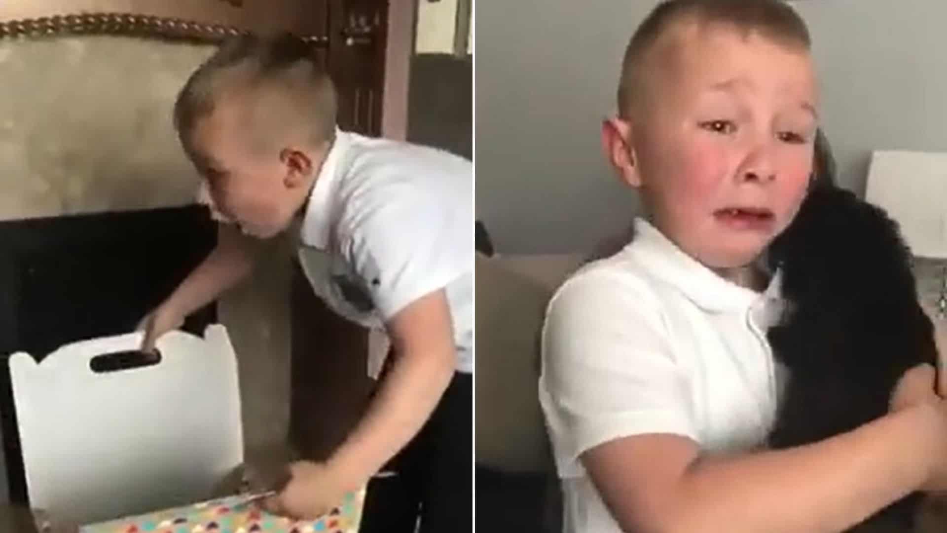 7-Year-Old Boy Bursts Into Tears After Opening The Box With A Furry Surprise