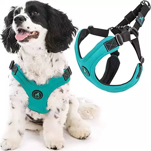 Gooby Escape-Free Sport Harness