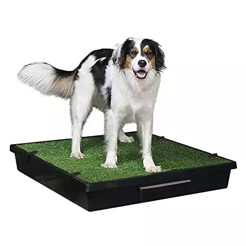 PetSafe Pet Loo Portable Indoor Dog Potty