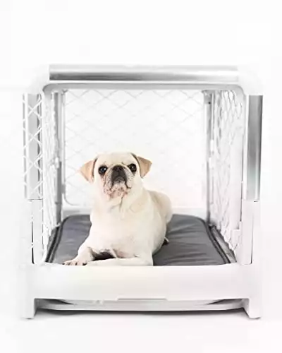 Diggs Revol Dog Crate