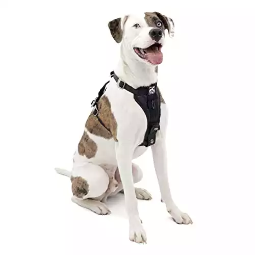 Kurgo Tru-Fit Smart Harness