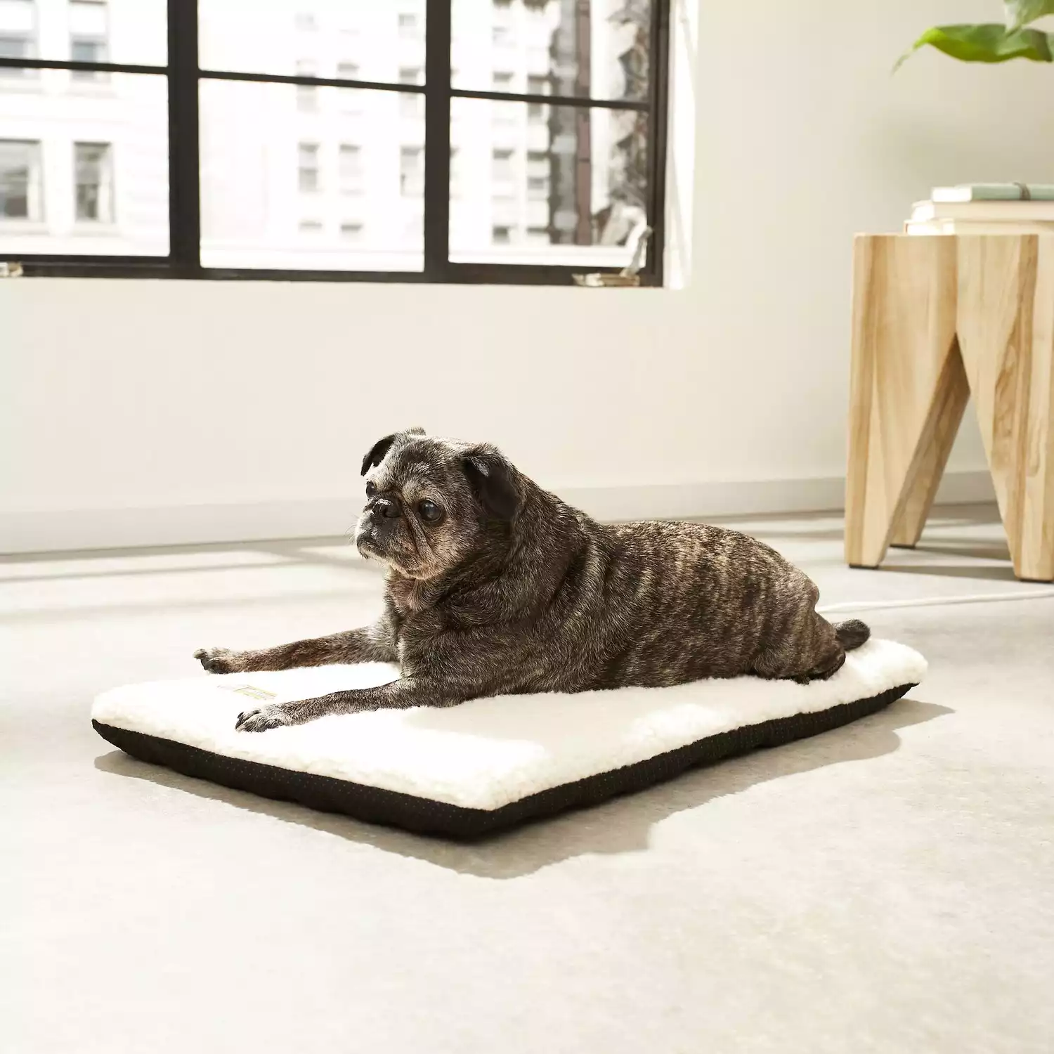 K&H Pet Products Thermo Bed