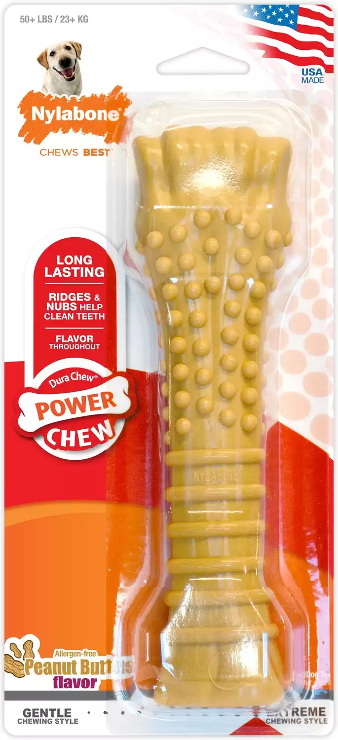 Nylabone Power Chew