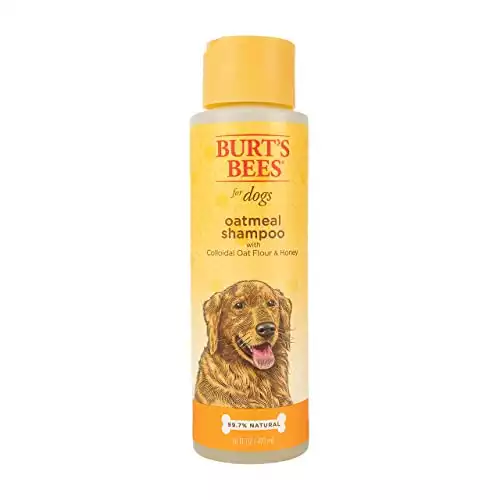 Burt's Bees Natural Oatmeal Shampoo for Dogs