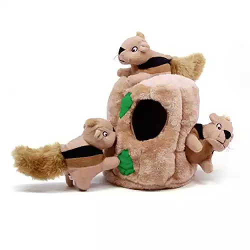 Outward Hound Hide A Squirrel Plush Dog Toy Puzzle