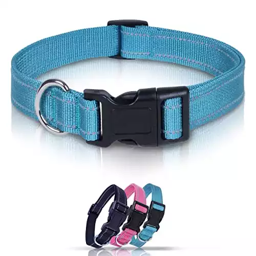 Winchester Reflective Dog Collar