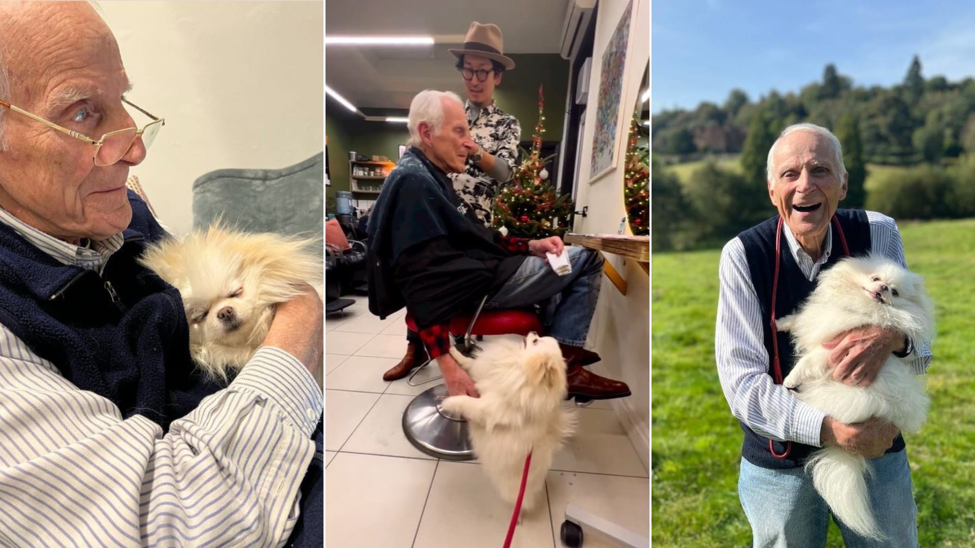 87-Year Old Man And His Affectionate Dog Don’t Know Life Without Each Other