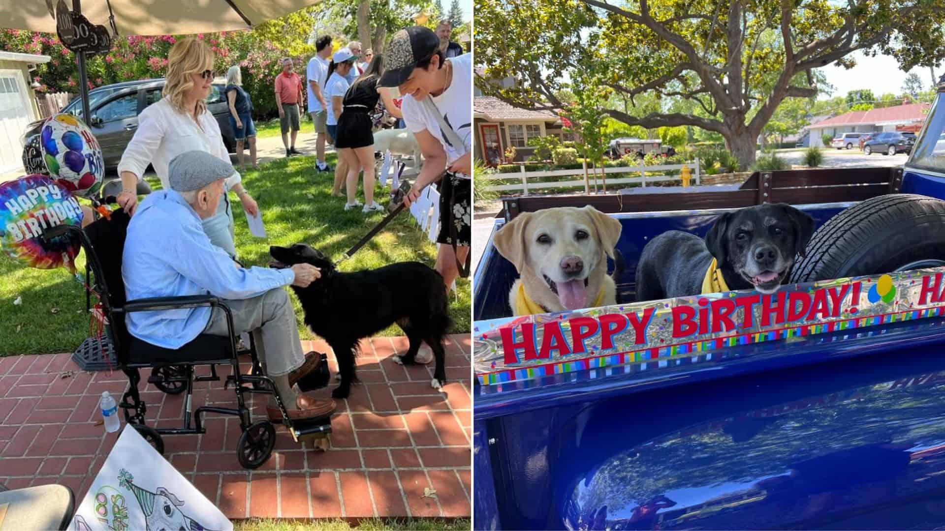 Giant-Hearted Dog Lover Spends His 100th Birthday With Over 200 Dogs