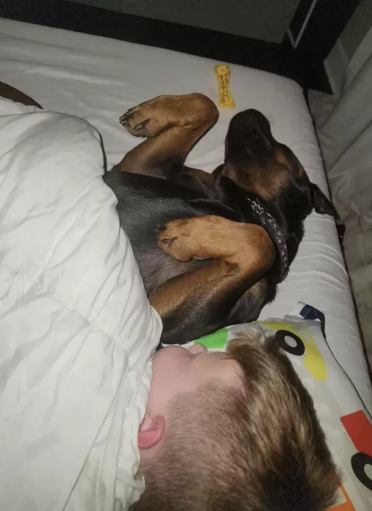 a boy and a dog sleep together in bed