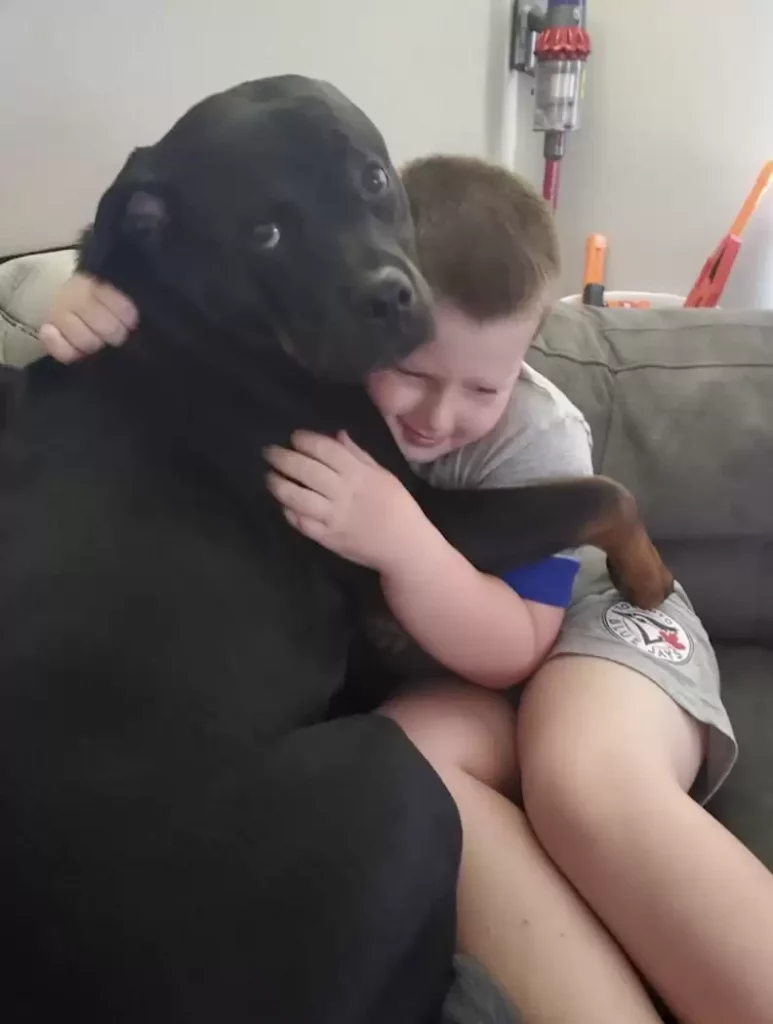 a boy hugs his dog as they sit on a log