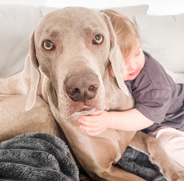 a boy hugs his dog at a logging site