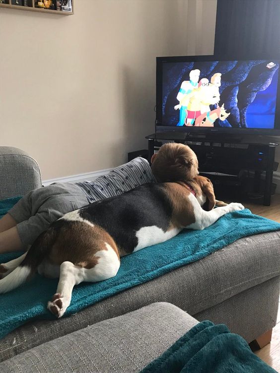 a boy leaning on a dog while watching TV