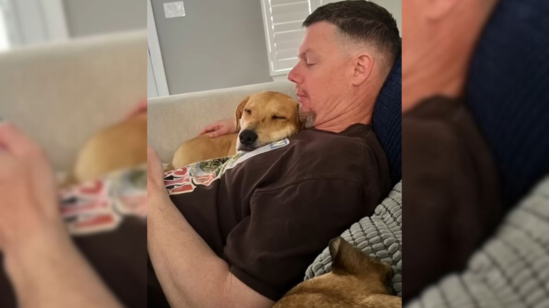 Abandoned Puppy Who Was Terrified Of Hoomans Is Now The Happiest ‘Daddy’s Girl’ Ever