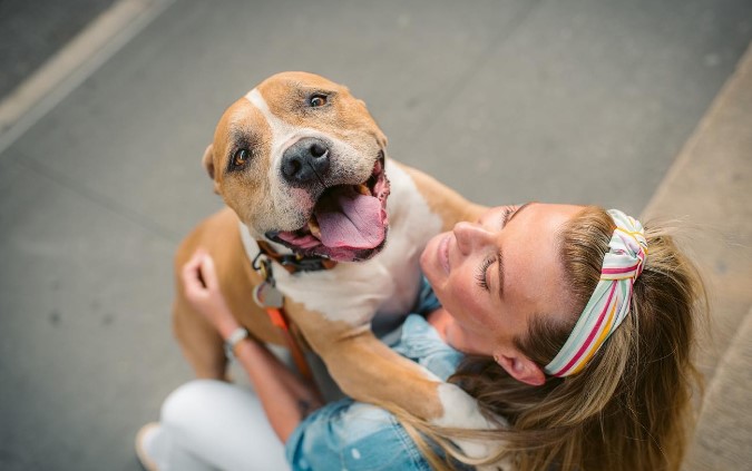 a bulldog in the arms of a woman