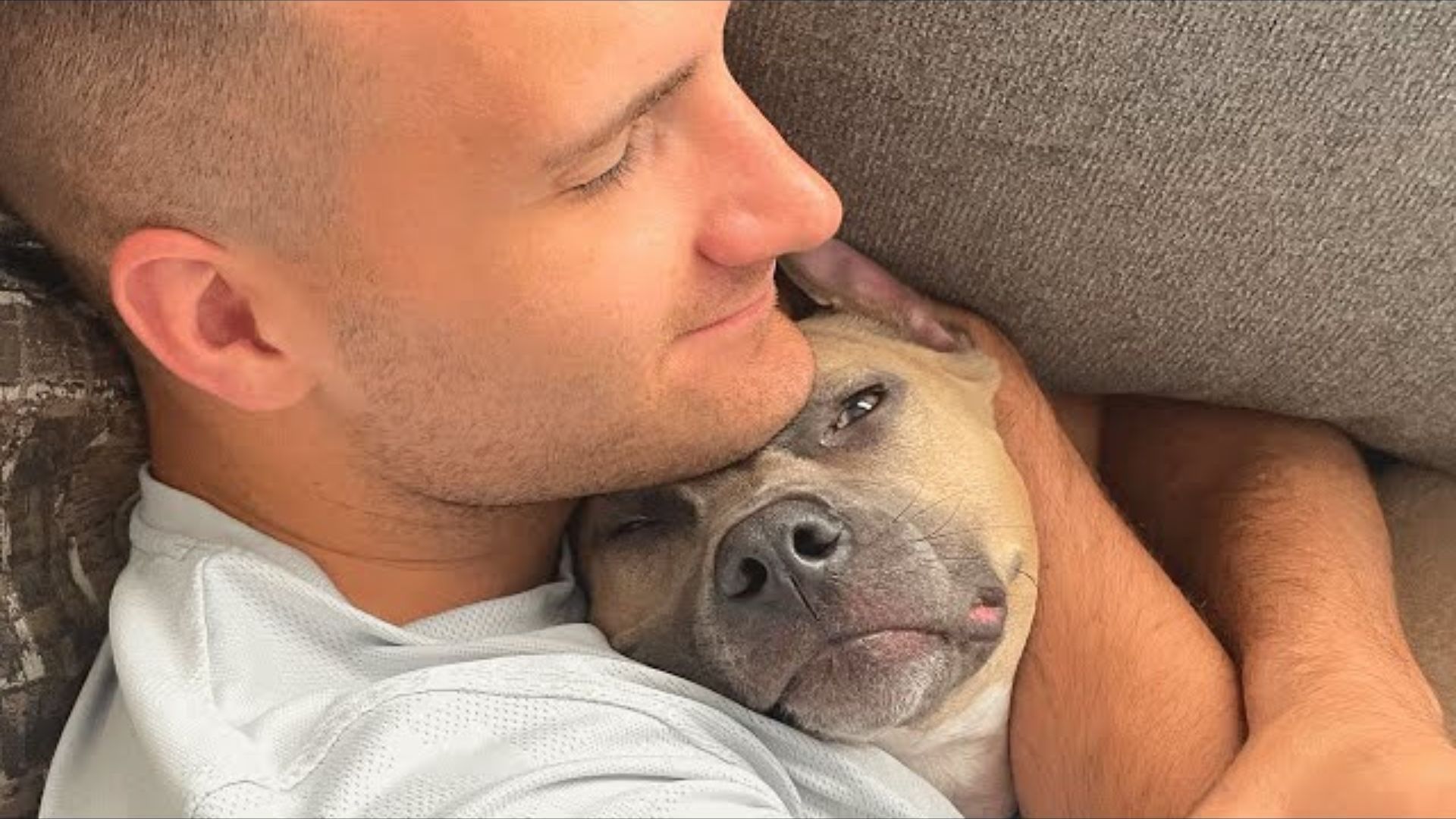 Couple Was Surprised To Learn Something Fascinating About Their Pittie After They Adopted Him