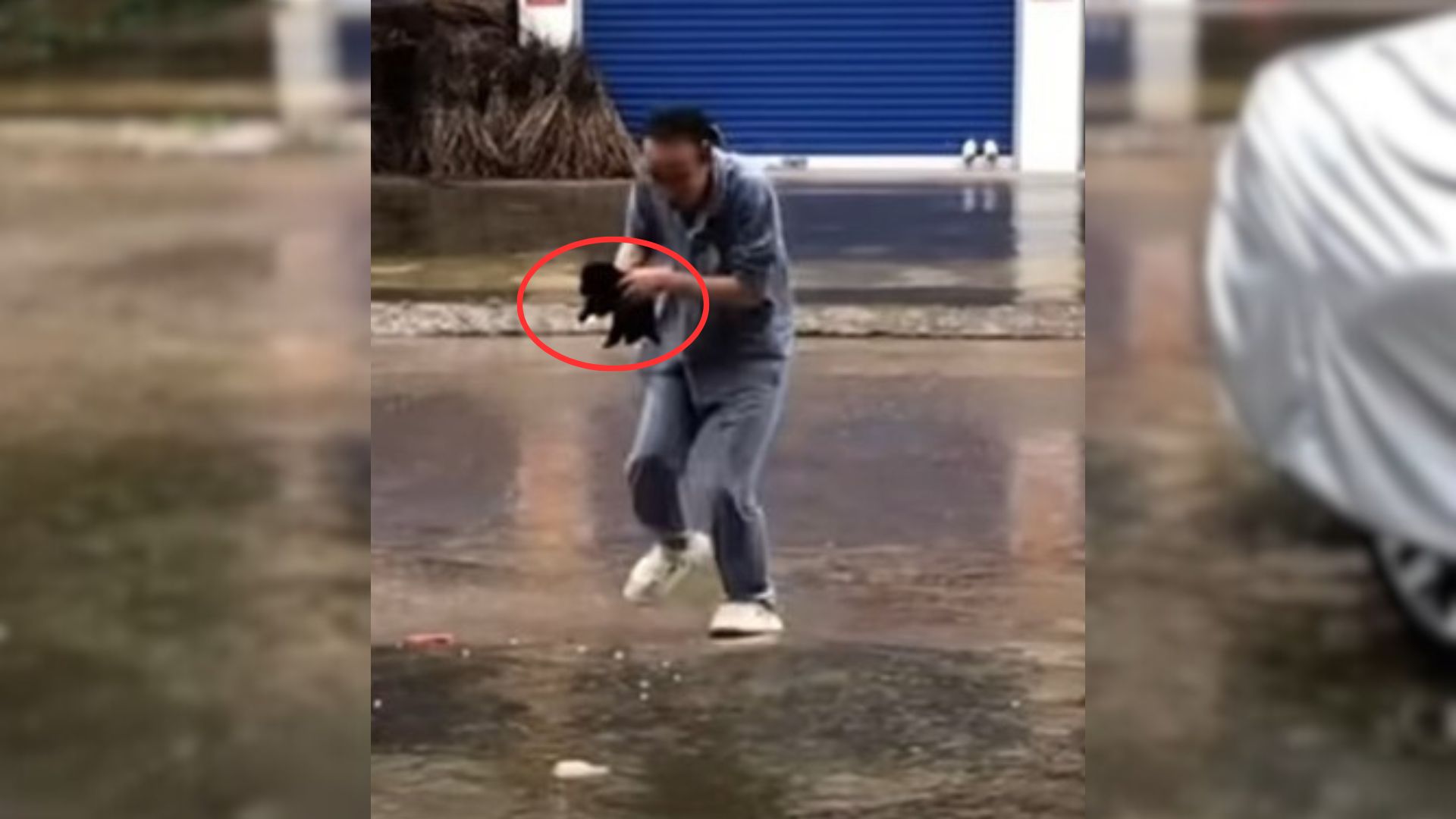 A Crying Abandoned Puppy Crawled In Heavy Rain Desperately Trying To Reunite With His Mom