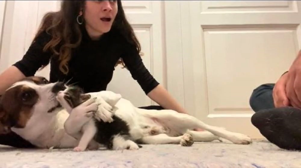 a dog cuddles on the floor with a cat while a man and a woman look on