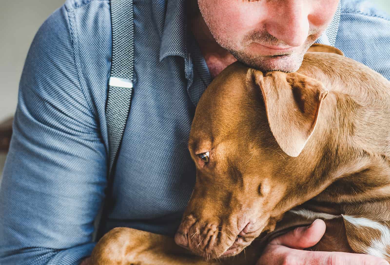 a dog cuddling with his owner and comforting him