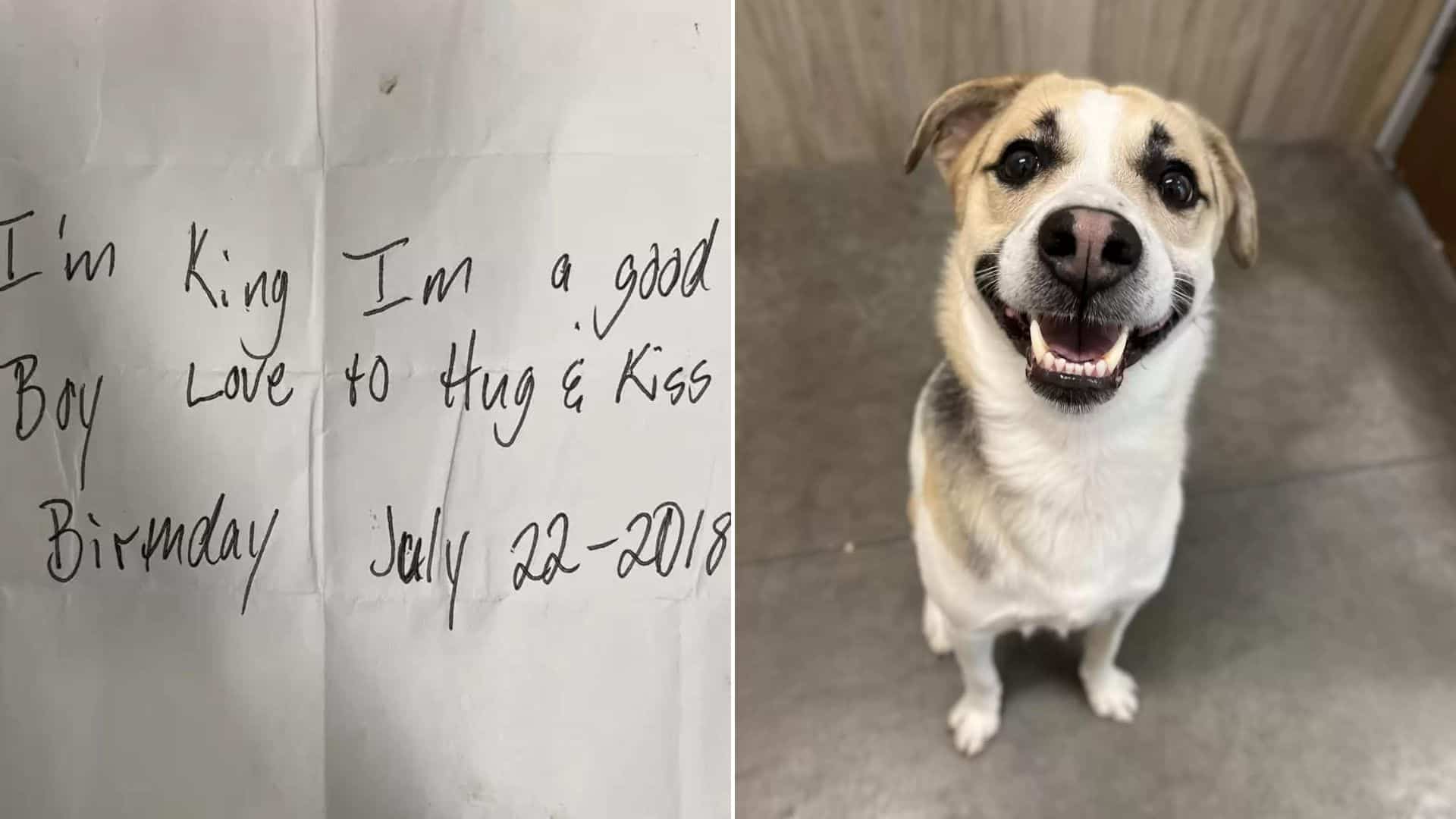 Dog Abandoned At Burger King With A Note Finally Gets To See His Mom Again 