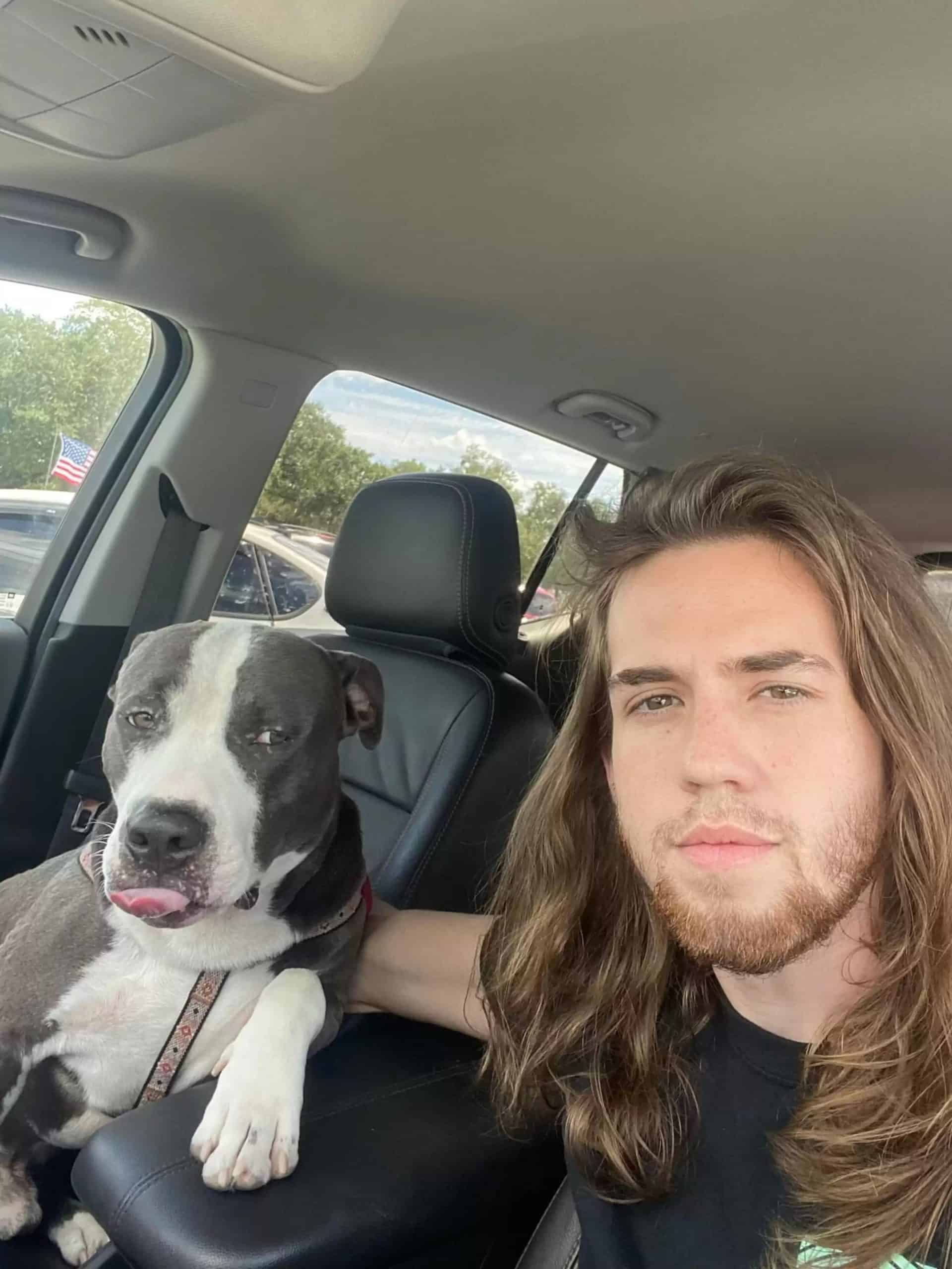 a dog with a man in a car