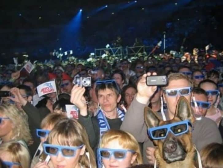 a dog with glasses at a concert