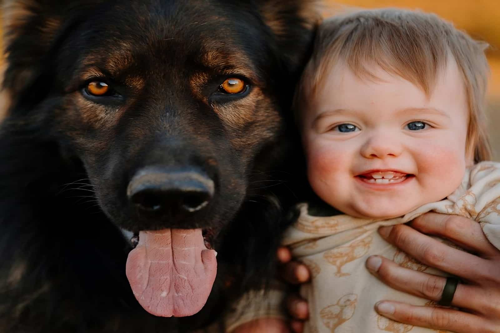 a dog with its tongue sticking out next to a child