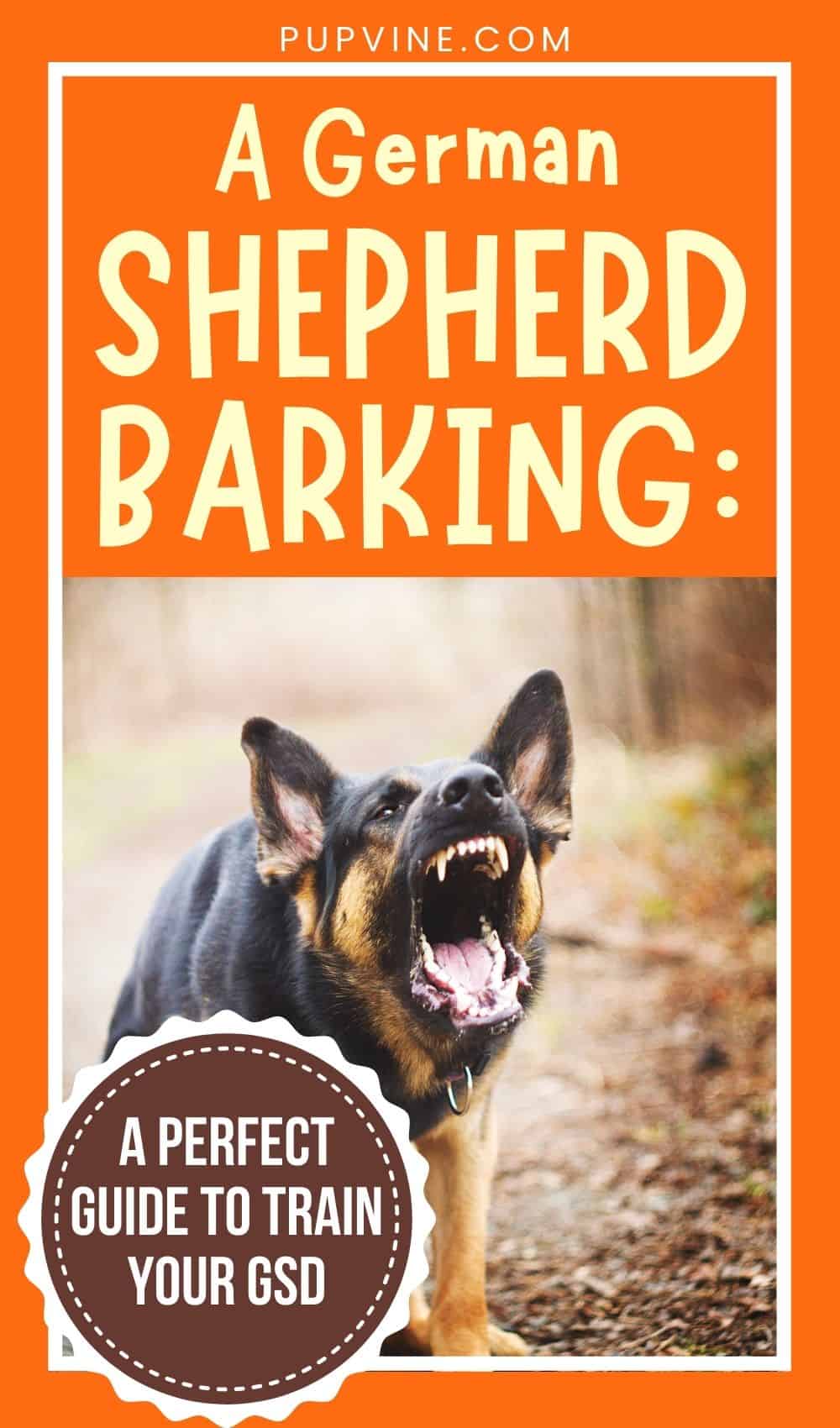 A German Shepherd Barking A Perfect Guide to Train Your GSD