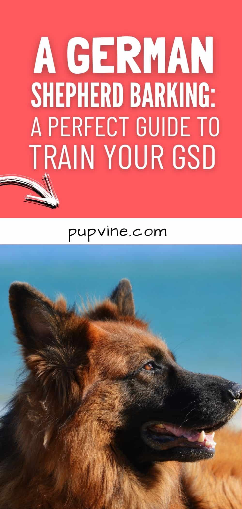 A German Shepherd Barking_ A Perfect Guide to Train Your GSD