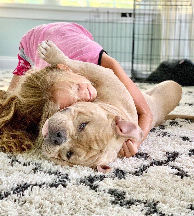 a girl and a bulldog are having fun on the floor